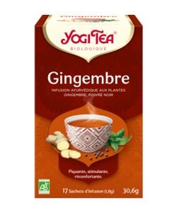 Gingembre BIO, 17 sachets